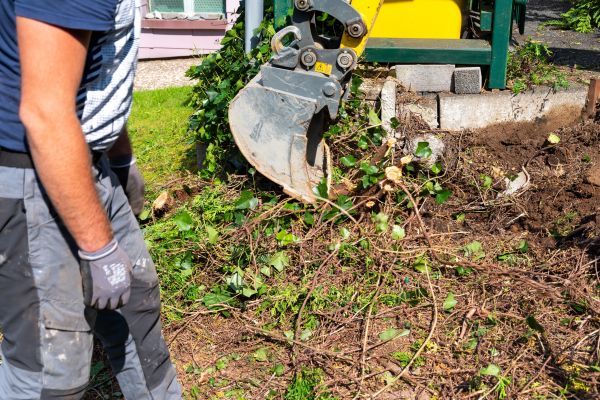 Hedge Removal Service in Winter Springs