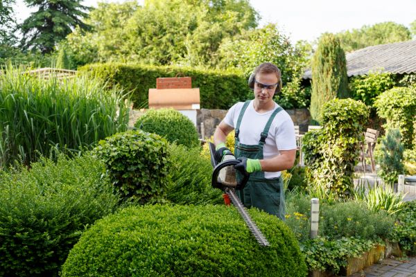 Shrubs Trimming in Winter Springs